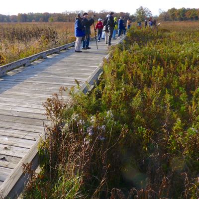 Middlefork Savanna Forest Preserve - Lake-Cook Audubon
