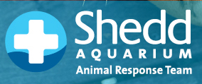 Shedd Aquarium�s Animal Response Team | Lake Cook Audubon